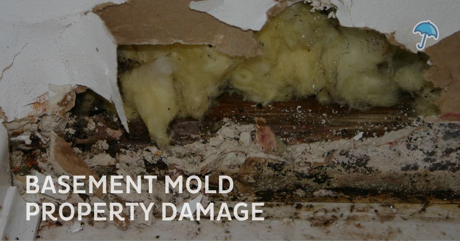 Property damage from basement mold in New Jersey